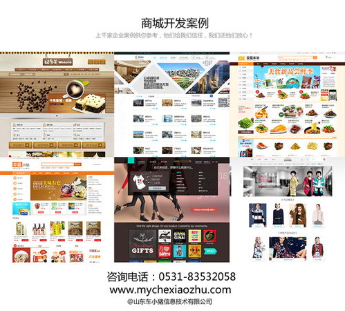 德州商城網(wǎng)站設(shè)計(jì)開發(fā) seo策劃案